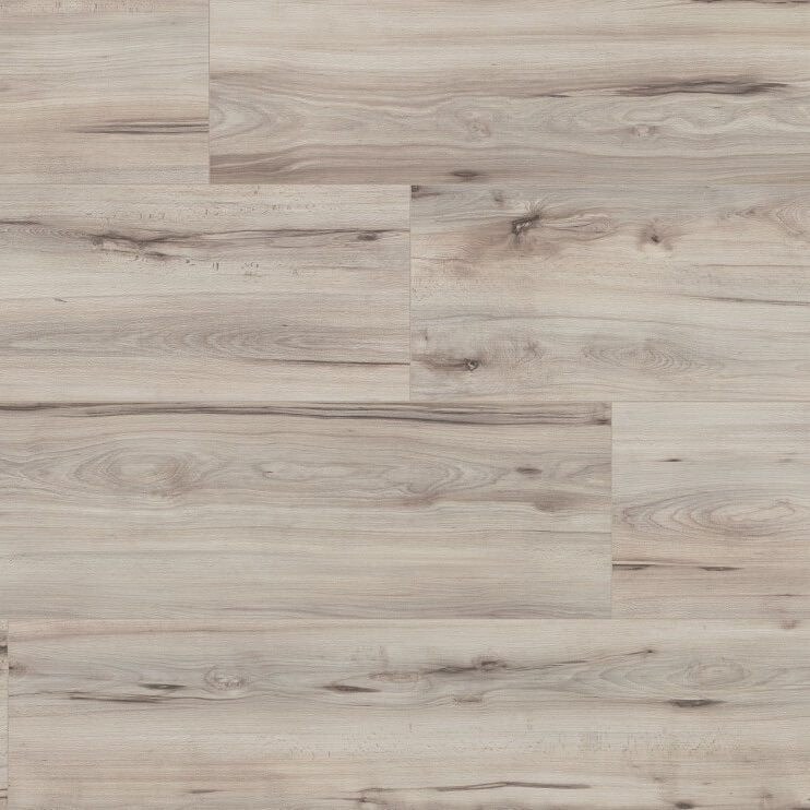 Laminat Buche Rostock