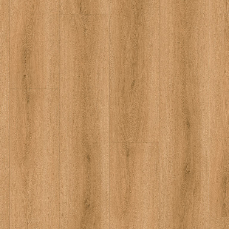 Vinylboden in Eiche Holzoptik – Klebevinyl Cottbus Dielenoptik aus der Kollektion Bondline Essentials, modern und pflegeleicht, erhältlich bei Vinylshop24